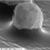 In-Situ Elemental Composition Analysis of Large Inhalable Aerosol Using Laser Induced Breakdown Spectroscopy